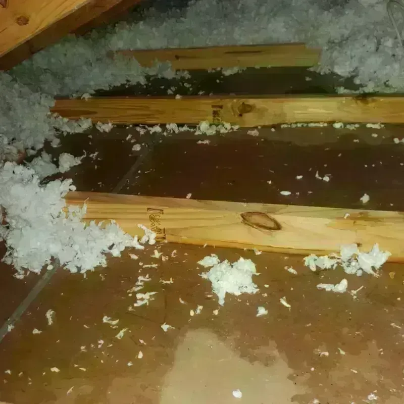 Attic Water Damage in Grand Saline, TX